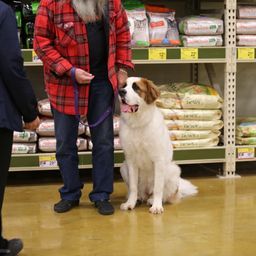 photograph by PeterW